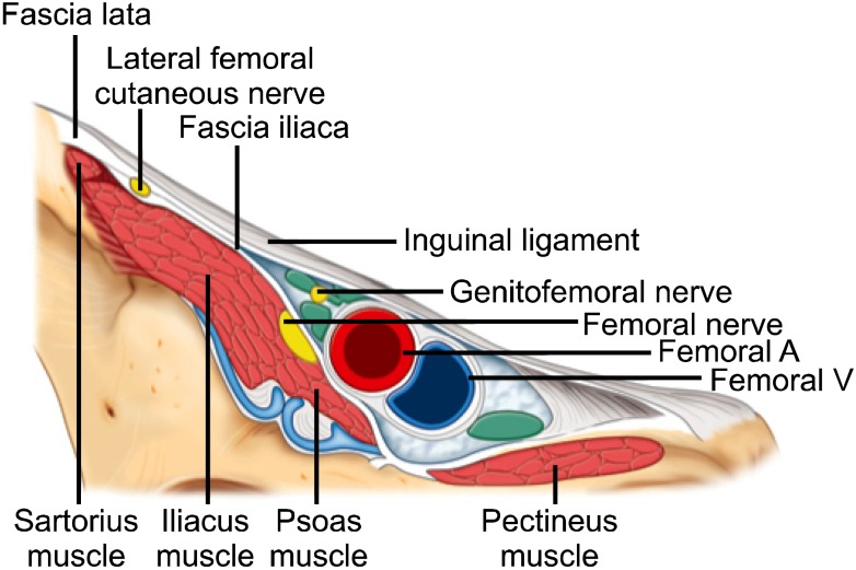 Fig. 10