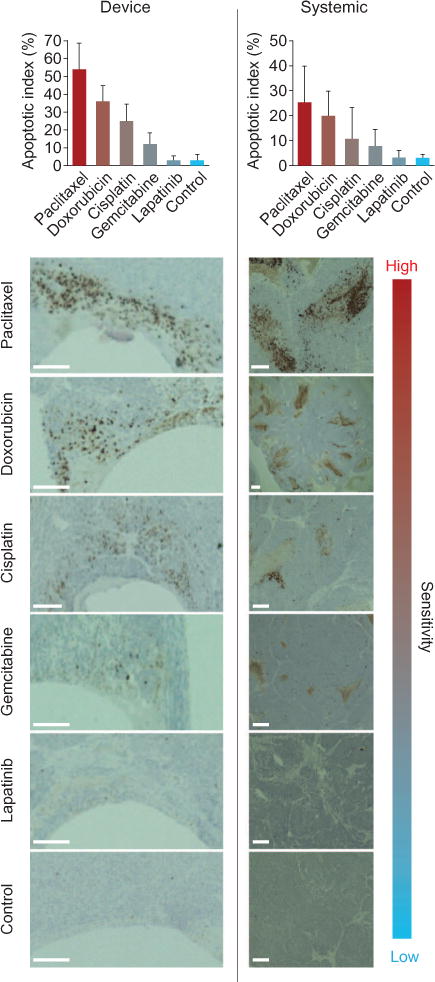 Fig. 7