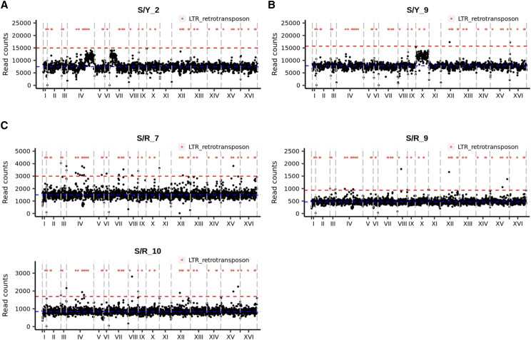 Figure 5