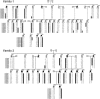 Figure  1