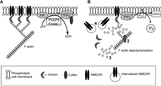 Fig. 8.