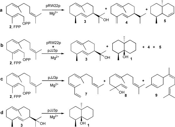 Scheme 2