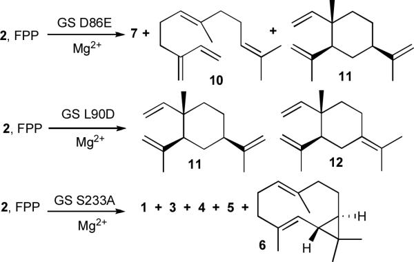 Scheme 3