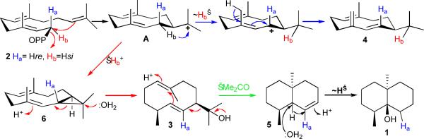 Scheme 1