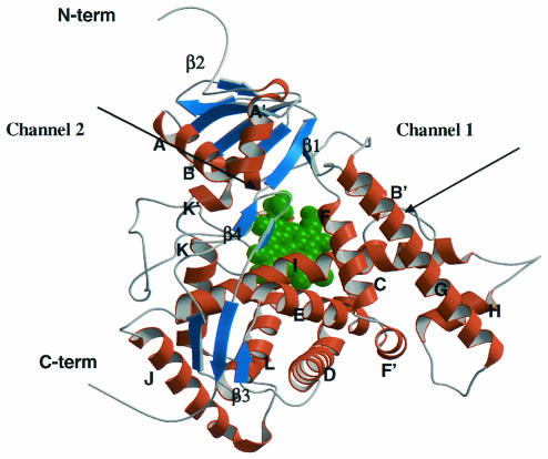 FIG. 2.