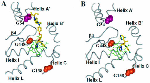 FIG. 5.