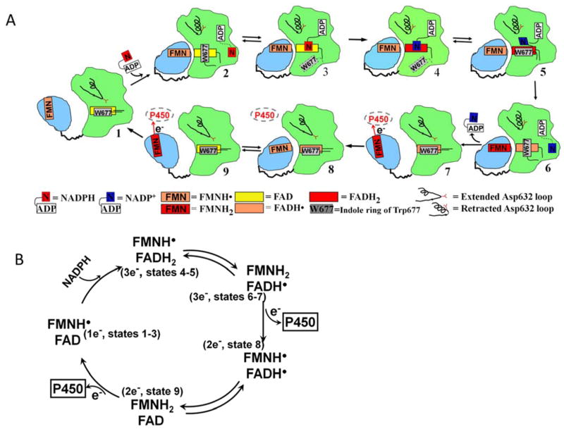 Figure 13