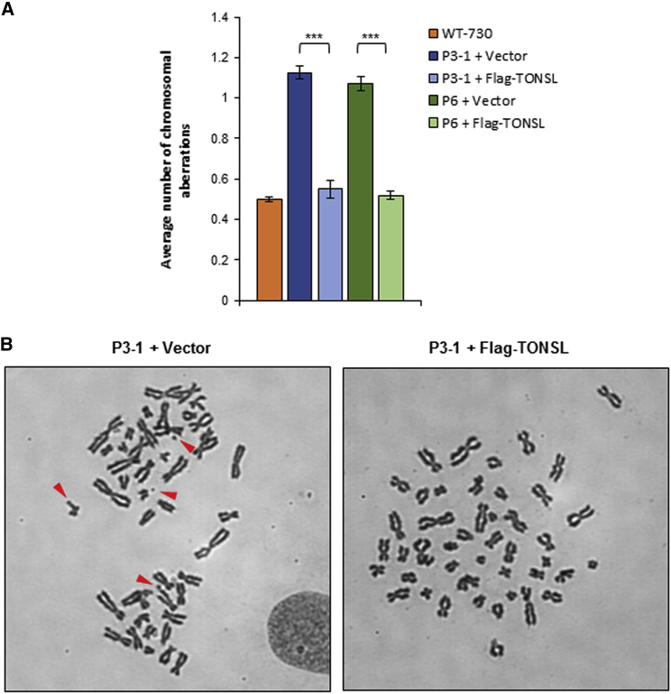 Figure 6