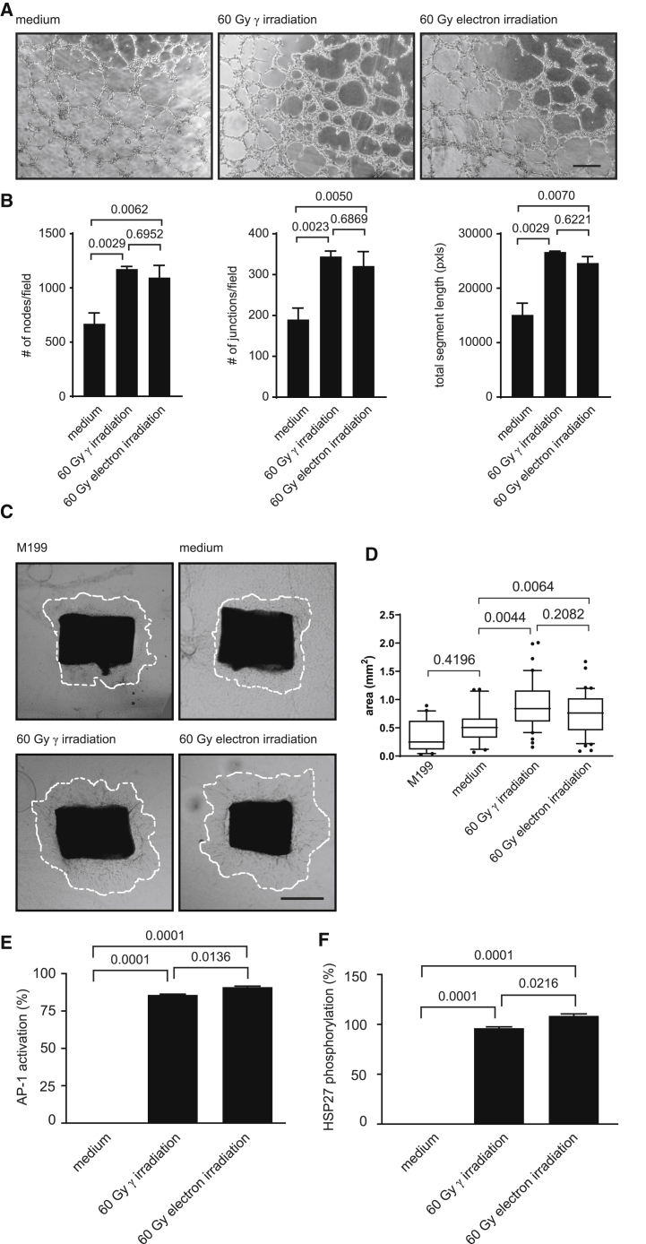 Figure 6