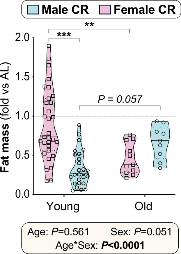 Figure 10—figure supplement 2.