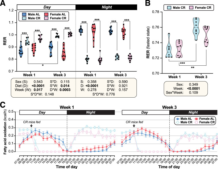 Figure 3—figure supplement 2.