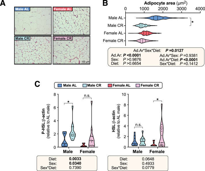 Figure 2—figure supplement 3.