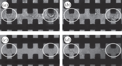 Figure 2.