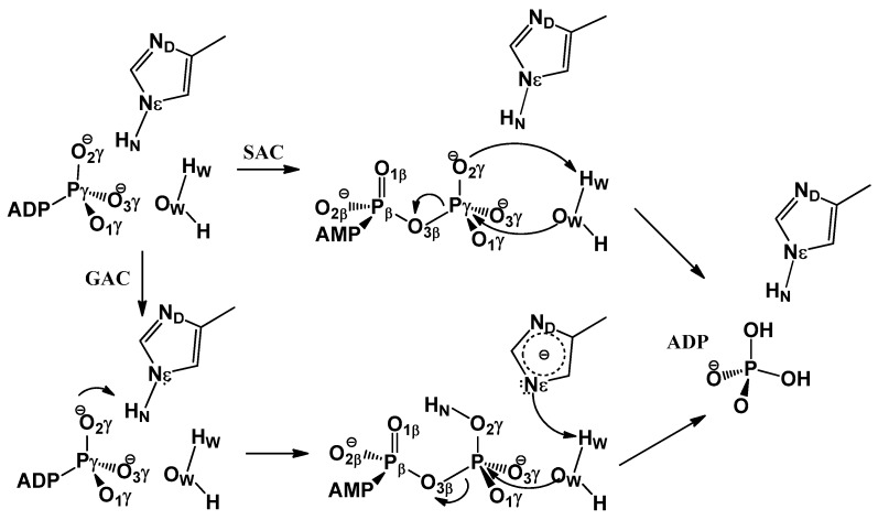 Scheme 1