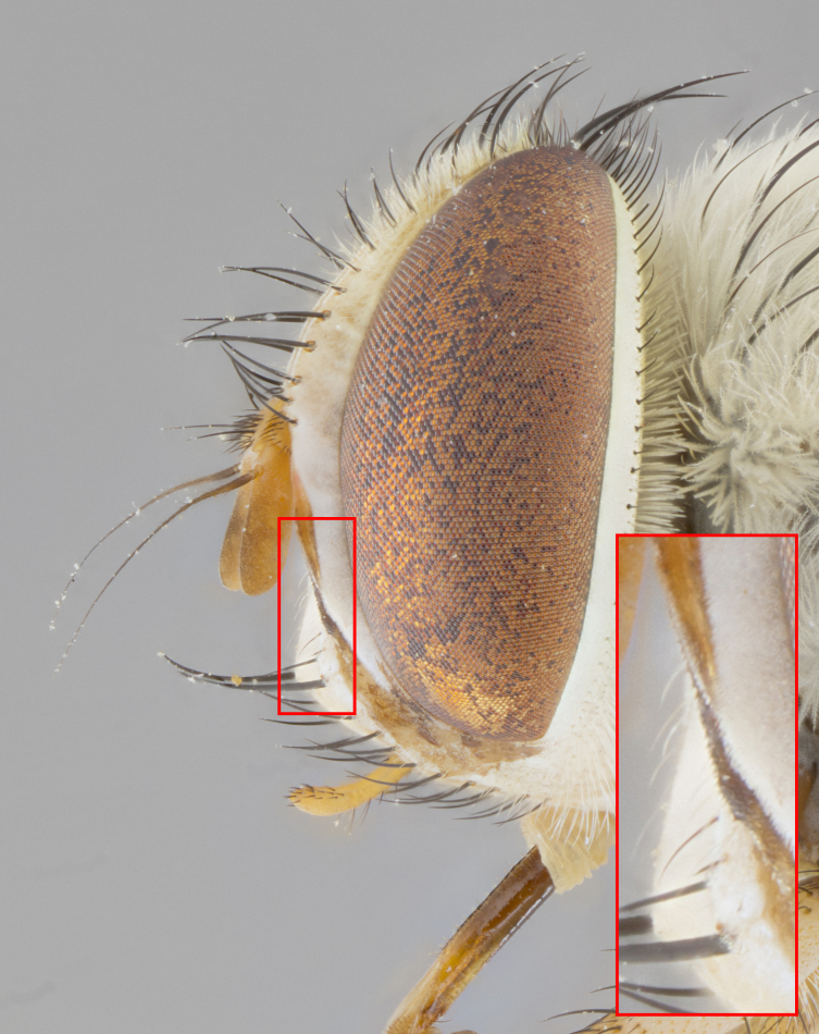 Figure 25.