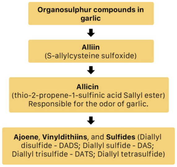 Figure 14