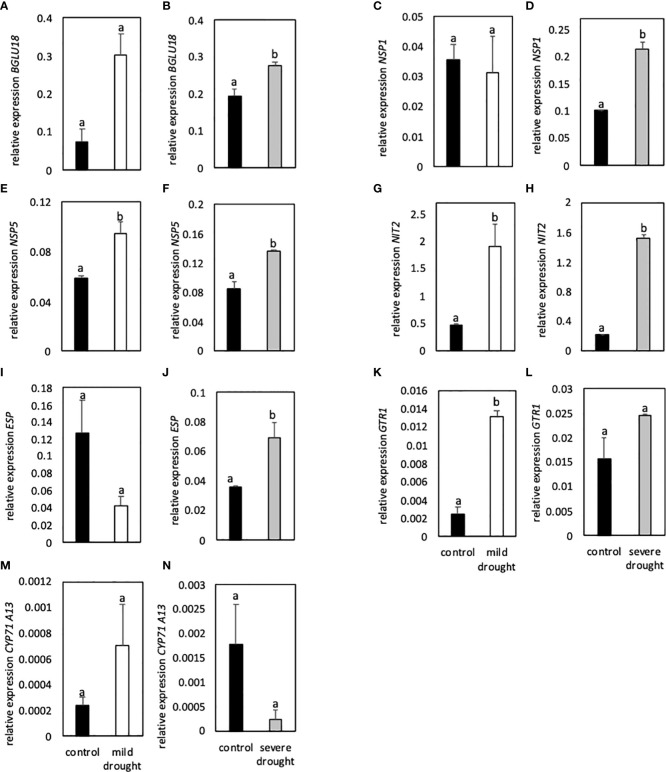 Figure 5