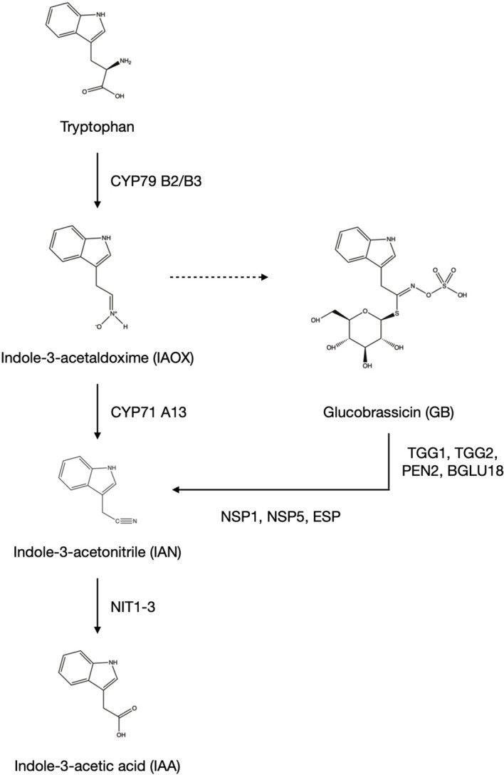 Figure 1