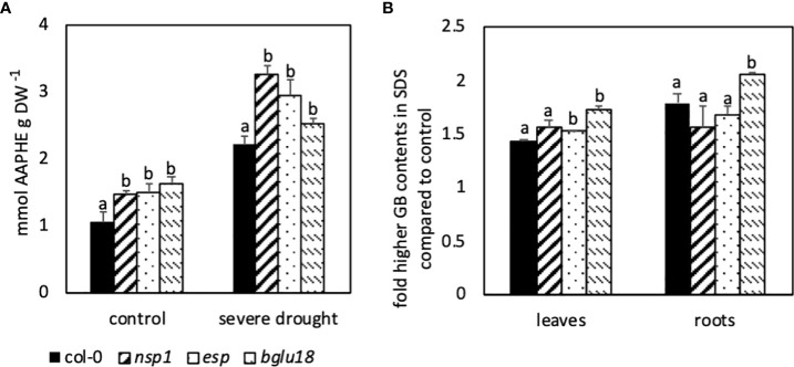 Figure 6
