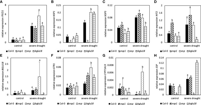 Figure 7