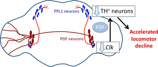 Fig 8