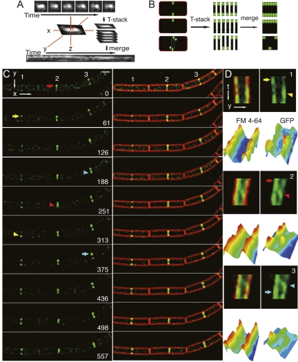 Figure 3.