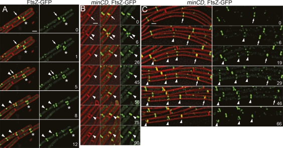 Figure 5.