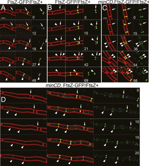 Figure 6.