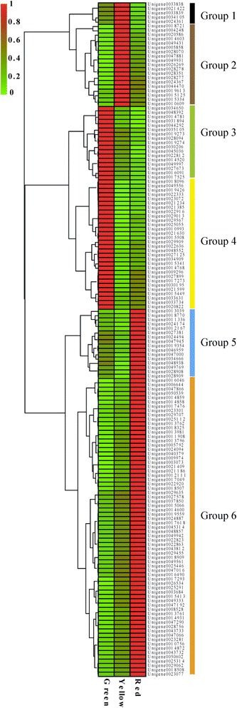 Figure 6