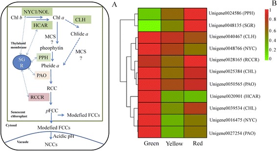 Figure 7