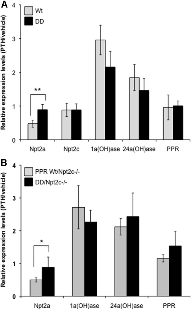 Figure 6.