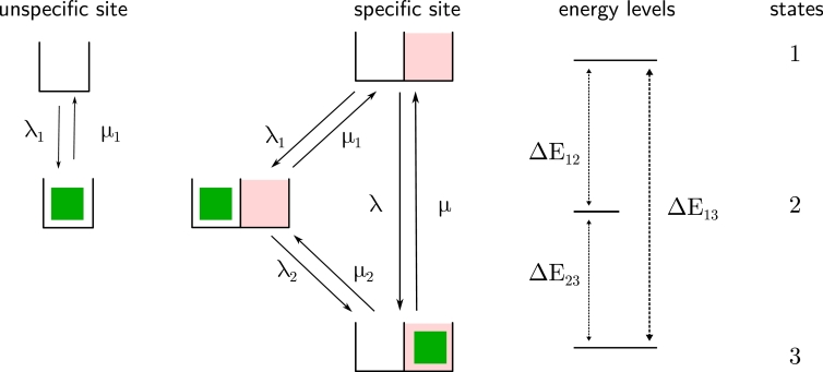 Fig 5