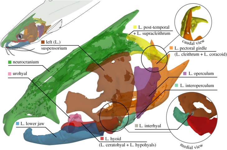 Figure 1.