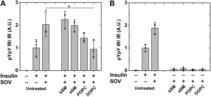 Figure 6