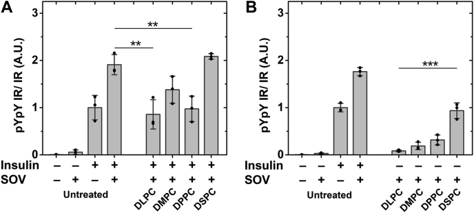 Figure 7