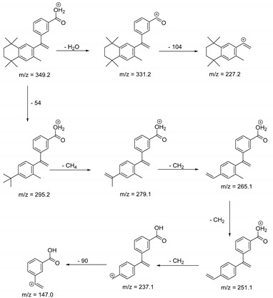 graphic file with name pharmaceutics-13-01220-i006.jpg