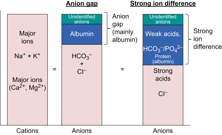 Fig 5