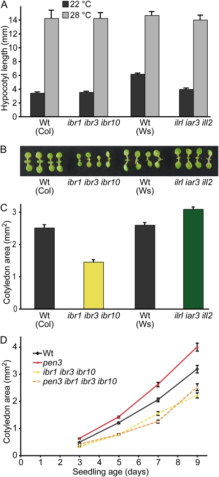 Figure 6.