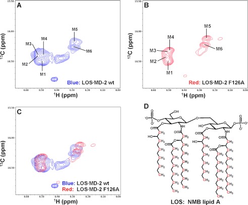 FIGURE 2.