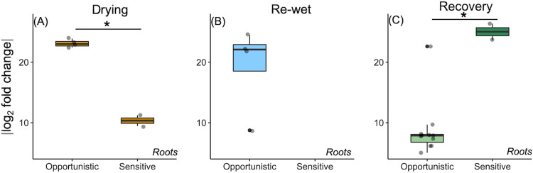 FIG 5