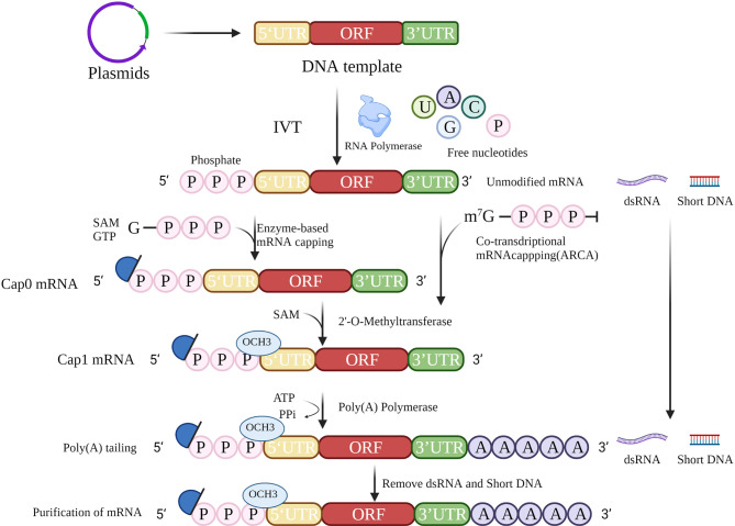 Figure 2