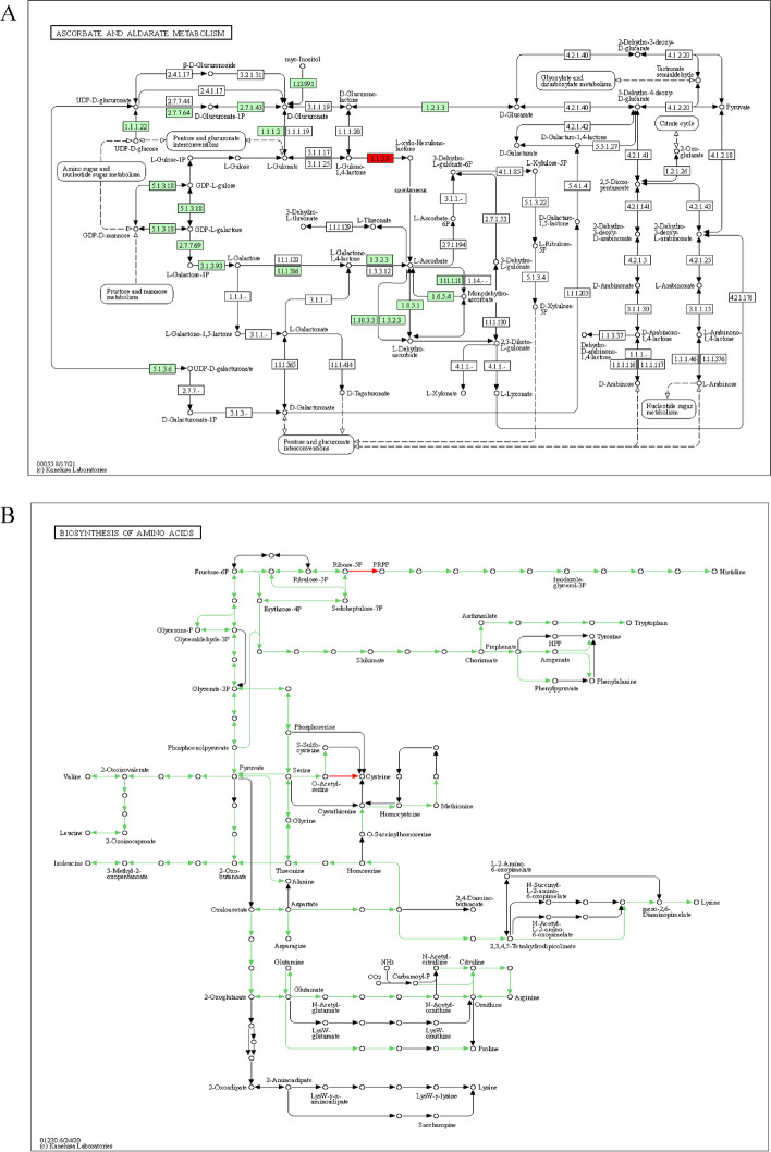 Fig. 12