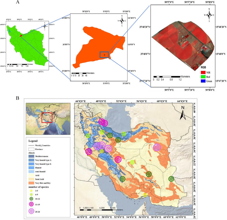 Fig. 13