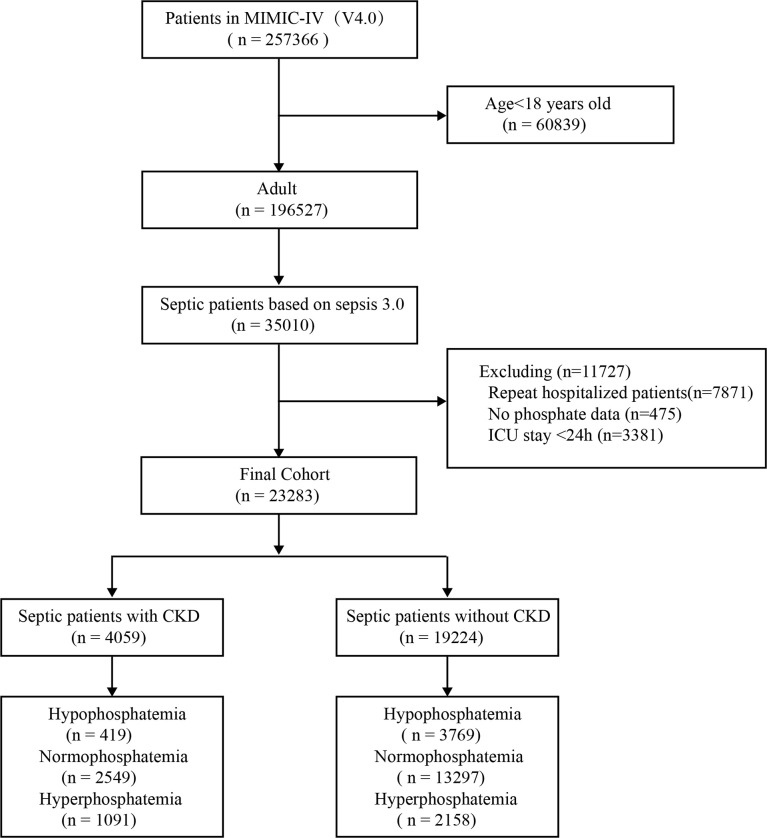 Figure 1