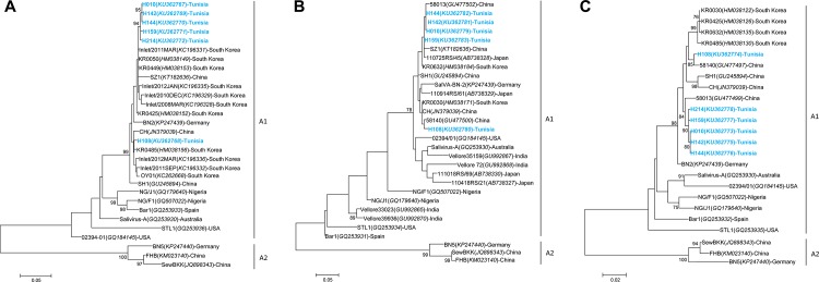 Fig 3