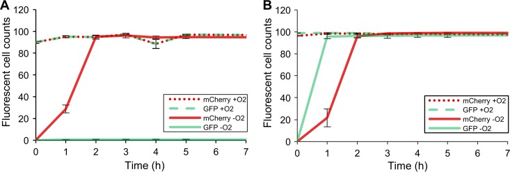 FIG 1