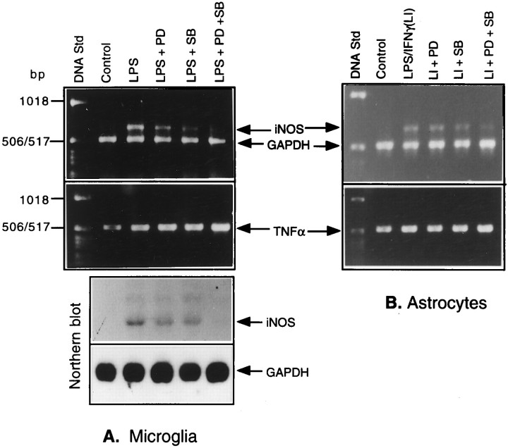 Fig. 9.