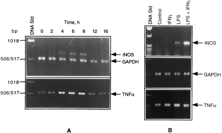 Fig. 8.