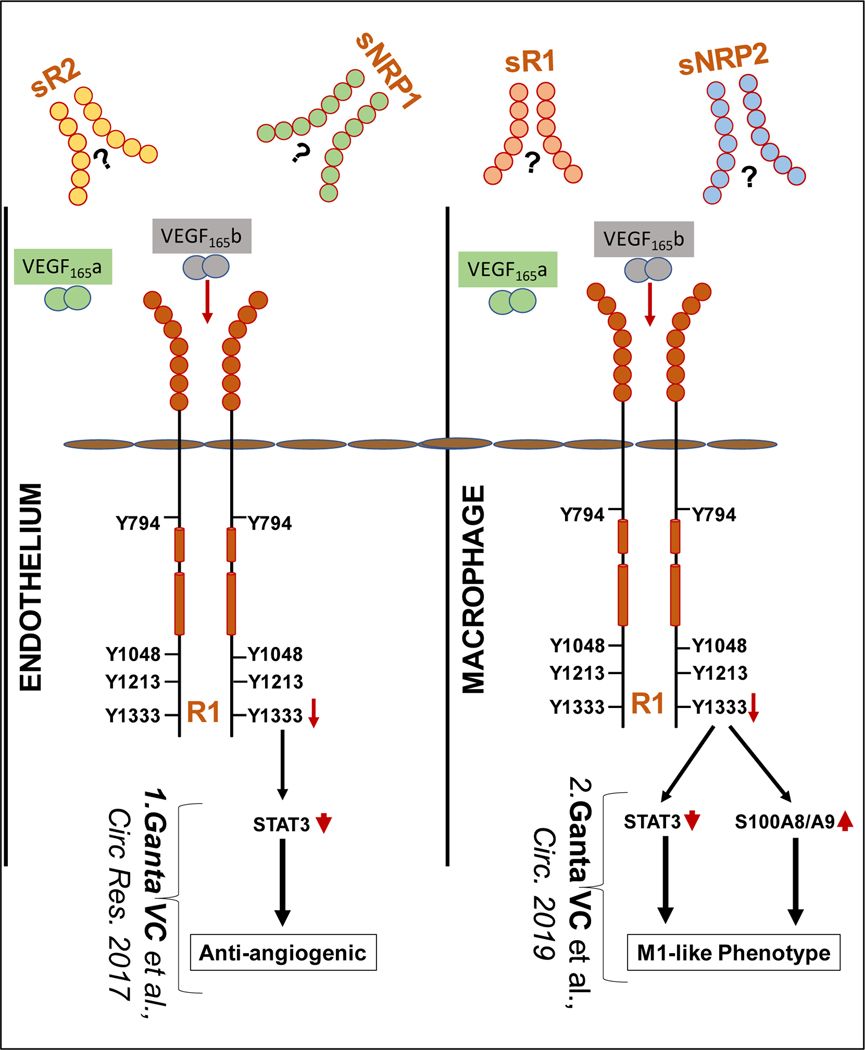 Figure-1: