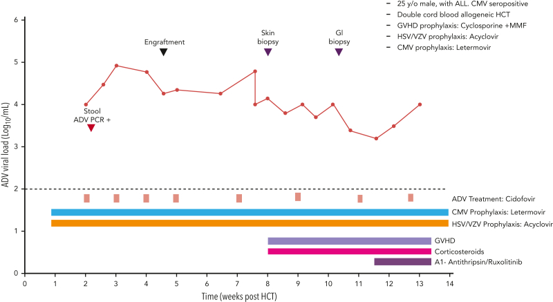 Figure 5.